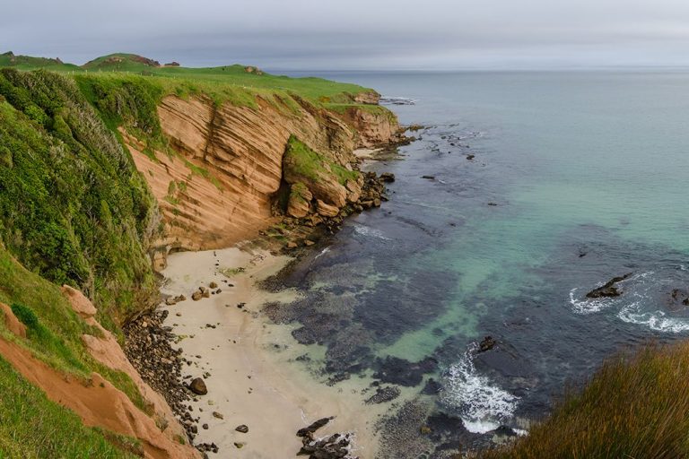 Latest News About the Chatham Islands Discover the Chatham Islands